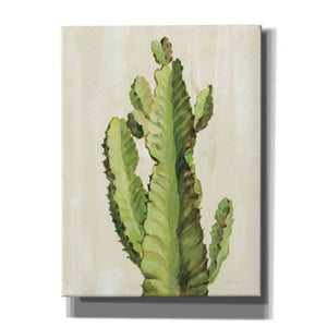 'Front Yard Cactus II' by Silvia Vassileva, Canvas Wall Art