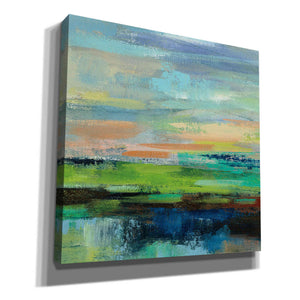 'Delmar Sunset II' by Silvia Vassileva, Canvas Wall Art