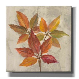 'November Leaves I' by Silvia Vassileva, Canvas Wall Art