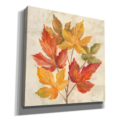 Image of 'November Leaves IV' by Silvia Vassileva, Canvas Wall Art