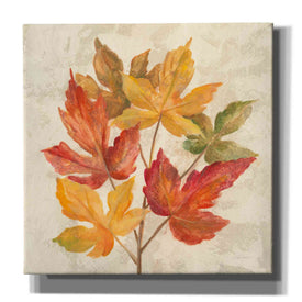 'November Leaves IV' by Silvia Vassileva, Canvas Wall Art