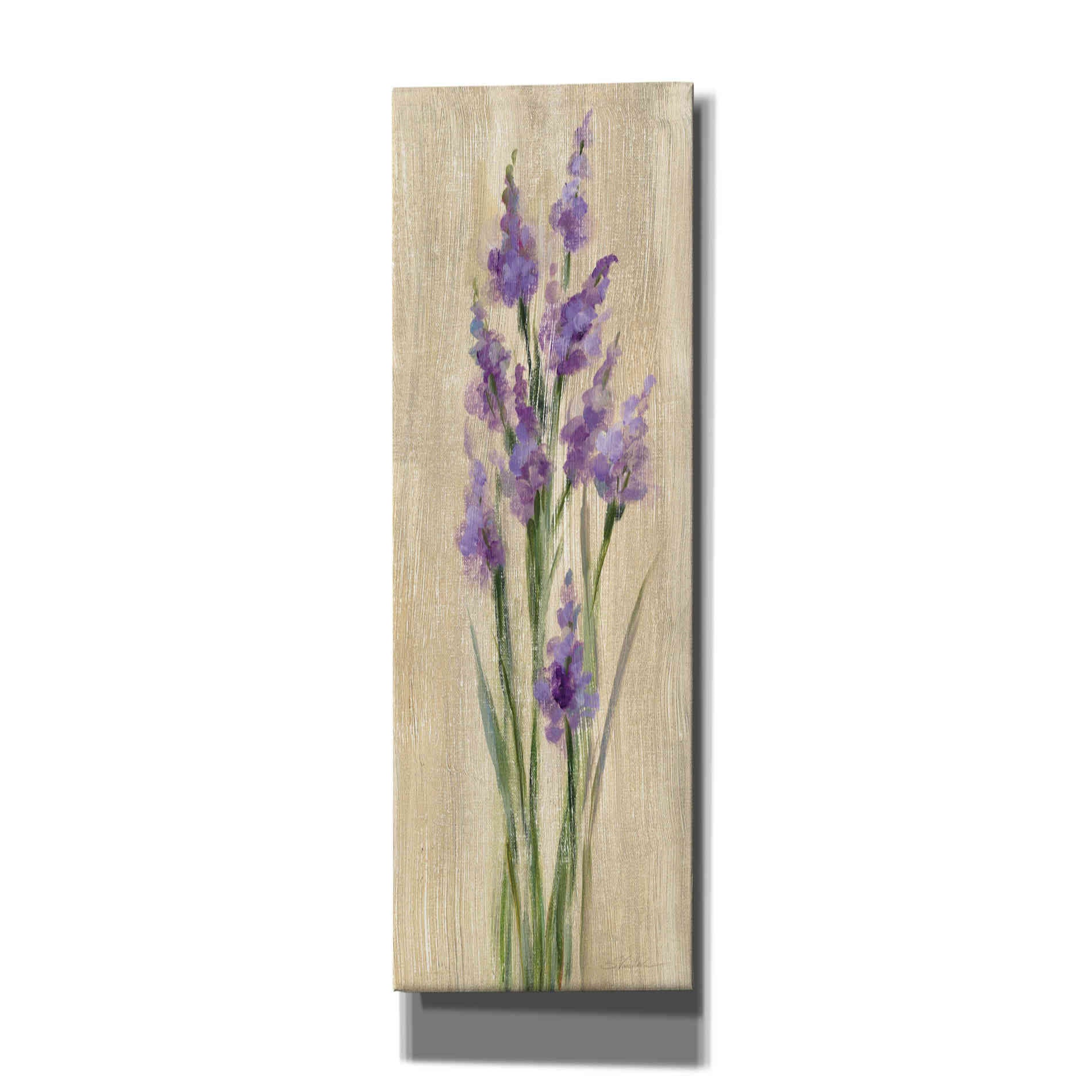 'Farm Flower II' by Silvia Vassileva, Canvas Wall Art
