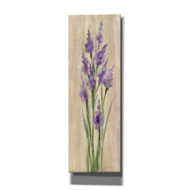 'Farm Flower II' by Silvia Vassileva, Canvas Wall Art