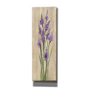 'Farm Flower II' by Silvia Vassileva, Canvas Wall Art