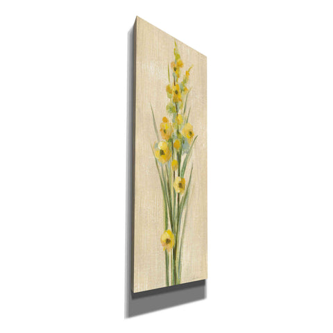 Image of 'Farm Flower III' by Silvia Vassileva, Canvas Wall Art