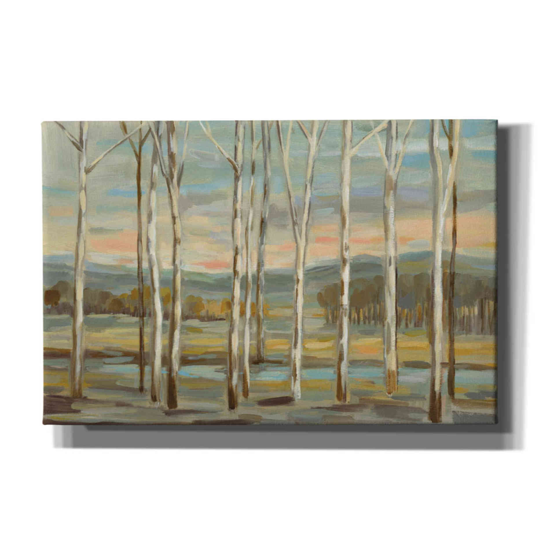 'Silver Forest' by Silvia Vassileva, Canvas Wall Art