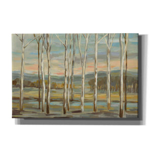 'Silver Forest' by Silvia Vassileva, Canvas Wall Art