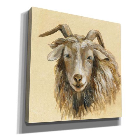Image of 'Highland Animal Sheep' by Silvia Vassileva, Canvas Wall Art