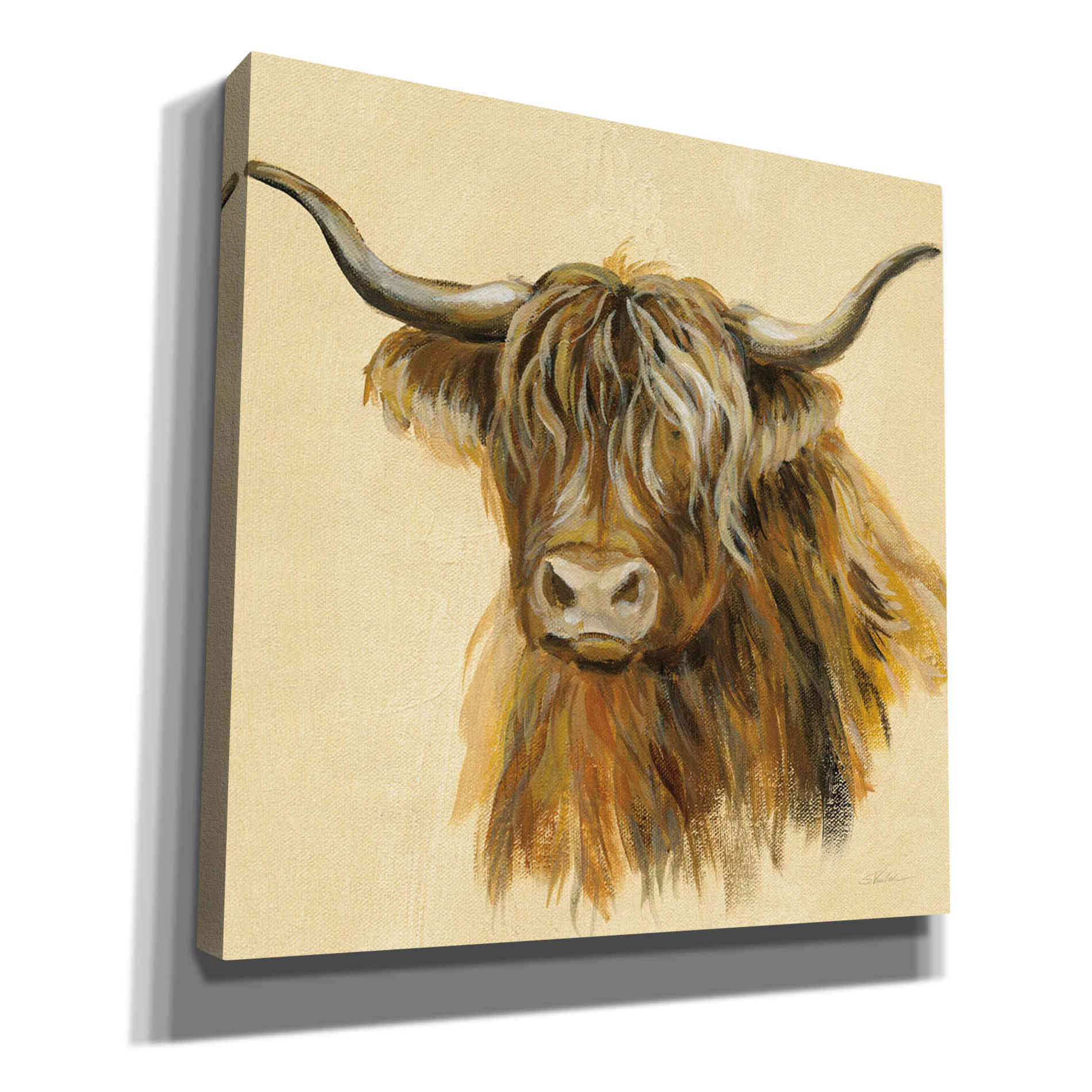 'Highland Animal Cow' by Silvia Vassileva, Canvas Wall Art