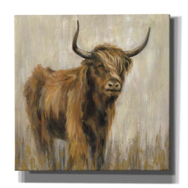 'Highland Mountain Cow' by Silvia Vassileva, Canvas Wall Art