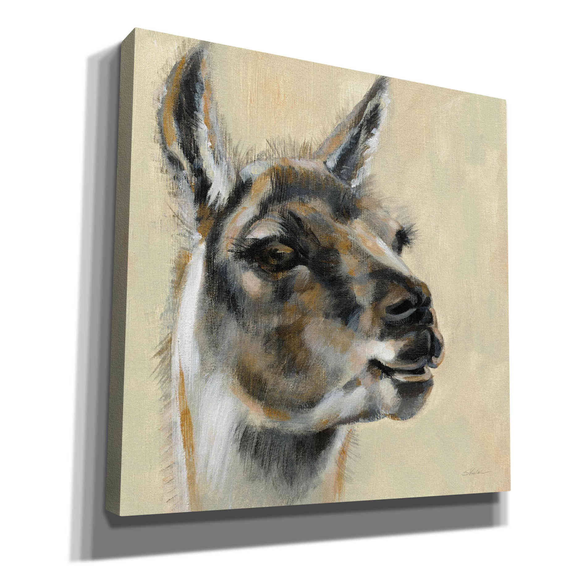'Llama Portrait' by Silvia Vassileva, Canvas Wall Art