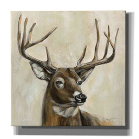 'Bronze Deer' by Silvia Vassileva, Canvas Wall Art