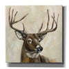 'Bronze Deer' by Silvia Vassileva, Canvas Wall Art