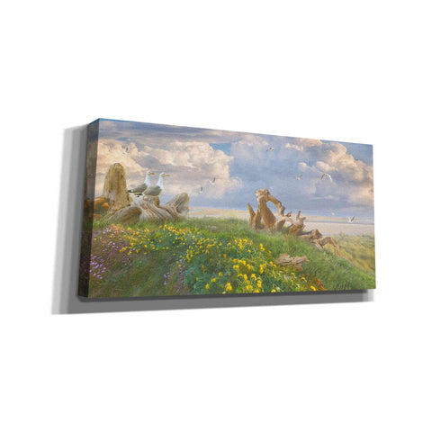 Image of 'Beach Lookouts' by Steve Hunziker, Canvas Wall Art