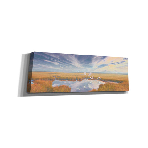 Image of 'Early Risers' by Steve Hunziker, Canvas Wall Art