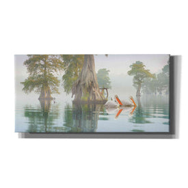 'Still Waters' by Steve Hunziker, Canvas Wall Art