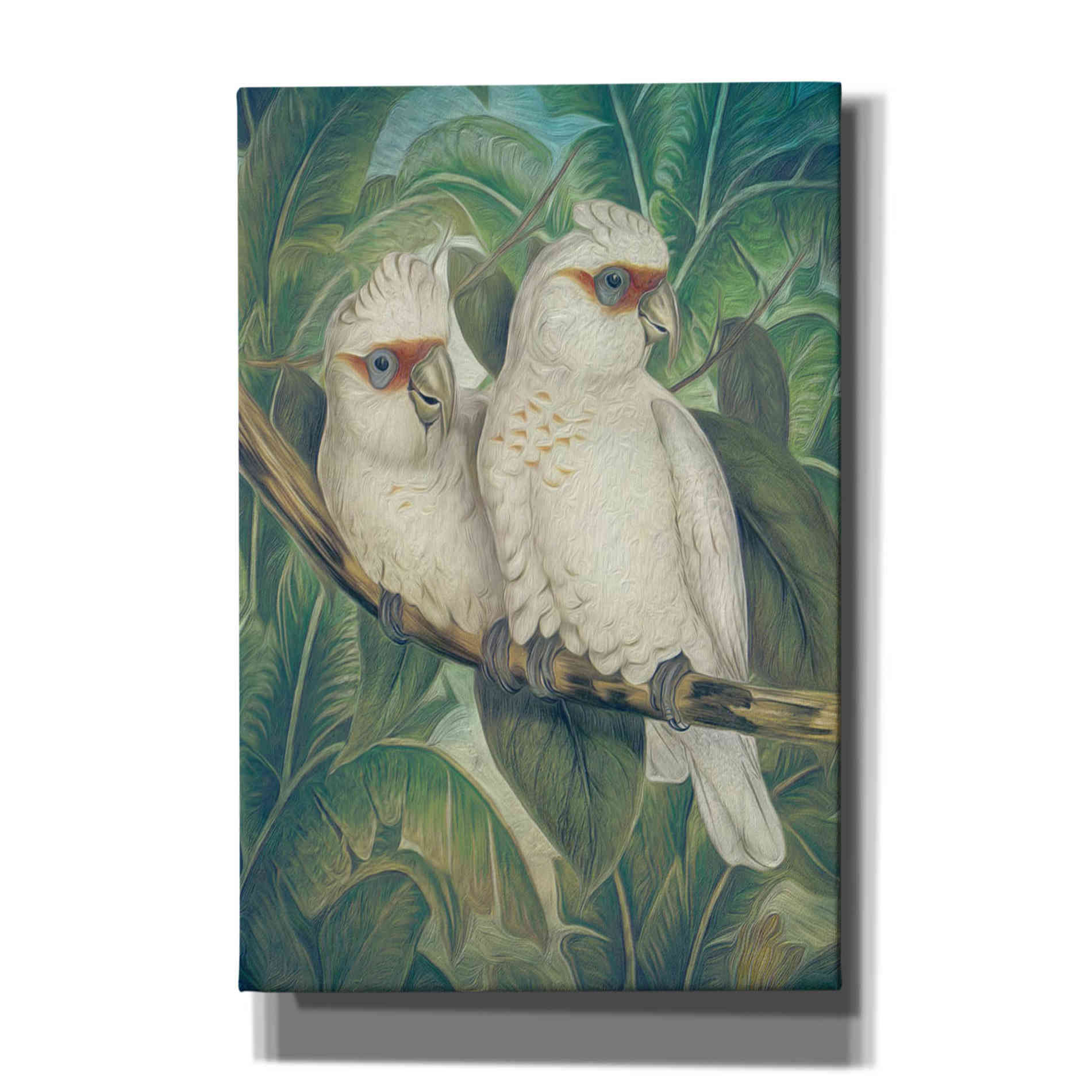 'Painted Plumage Three' by Steve Hunziker, Canvas Wall Art