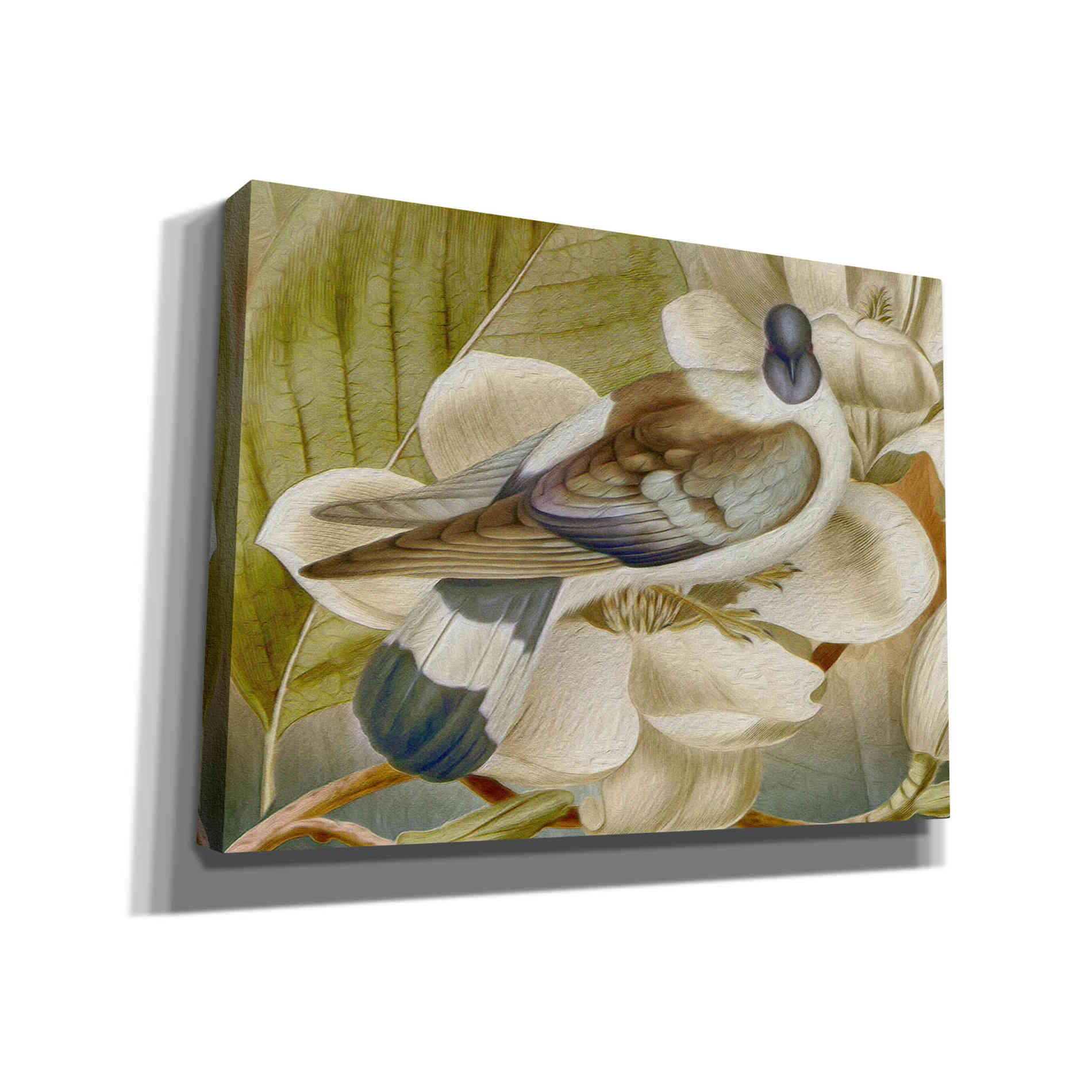 'Painted Plumage One' by Steve Hunziker, Canvas Wall Art