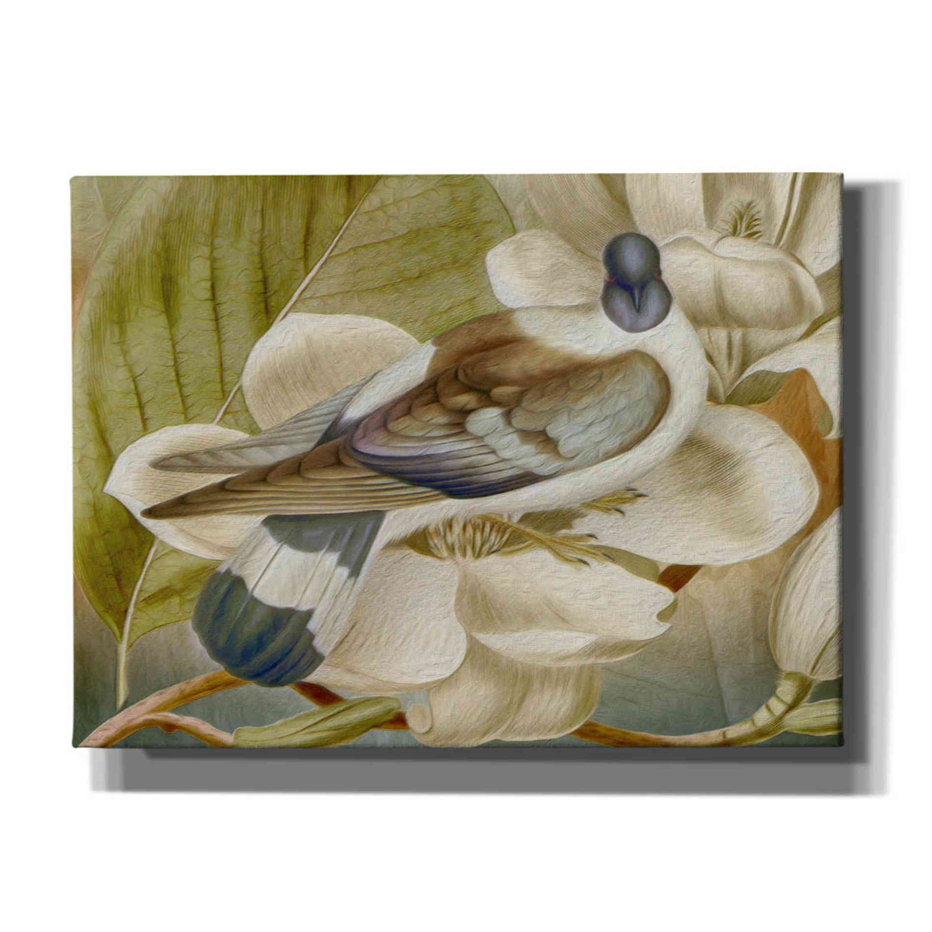'Painted Plumage One' by Steve Hunziker, Canvas Wall Art