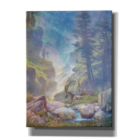 'Bighorn Falls' by Steve Hunziker, Canvas Wall Art
