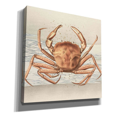 Image of 'Sandcritter 1' by Karen Smith, Canvas Wall Art