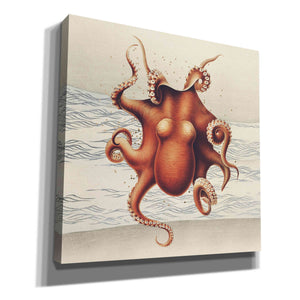 'Sandcritter 2' by Karen Smith, Canvas Wall Art