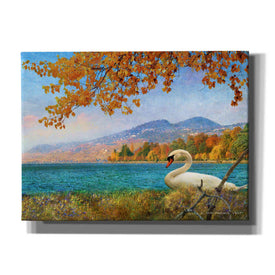 'Swan by Lac Leman' by Chris Vest, Canvas Wall Art