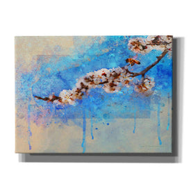 'Apricot Blossom' by Chris Vest, Canvas Wall Art