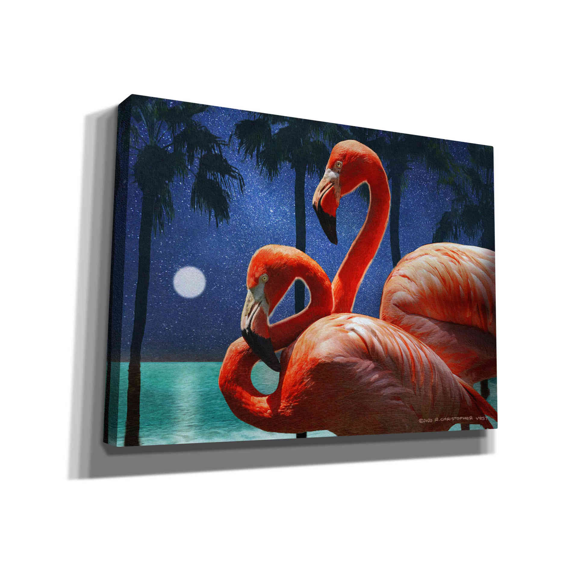 'Moonlight Flamingos' by Chris Vest, Canvas Wall Art