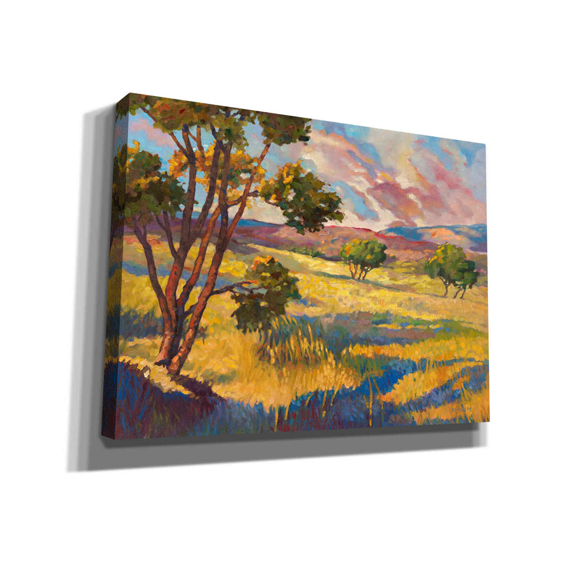 'Wide horizons 2' by Graham Reynolds, Canvas Wall Art
