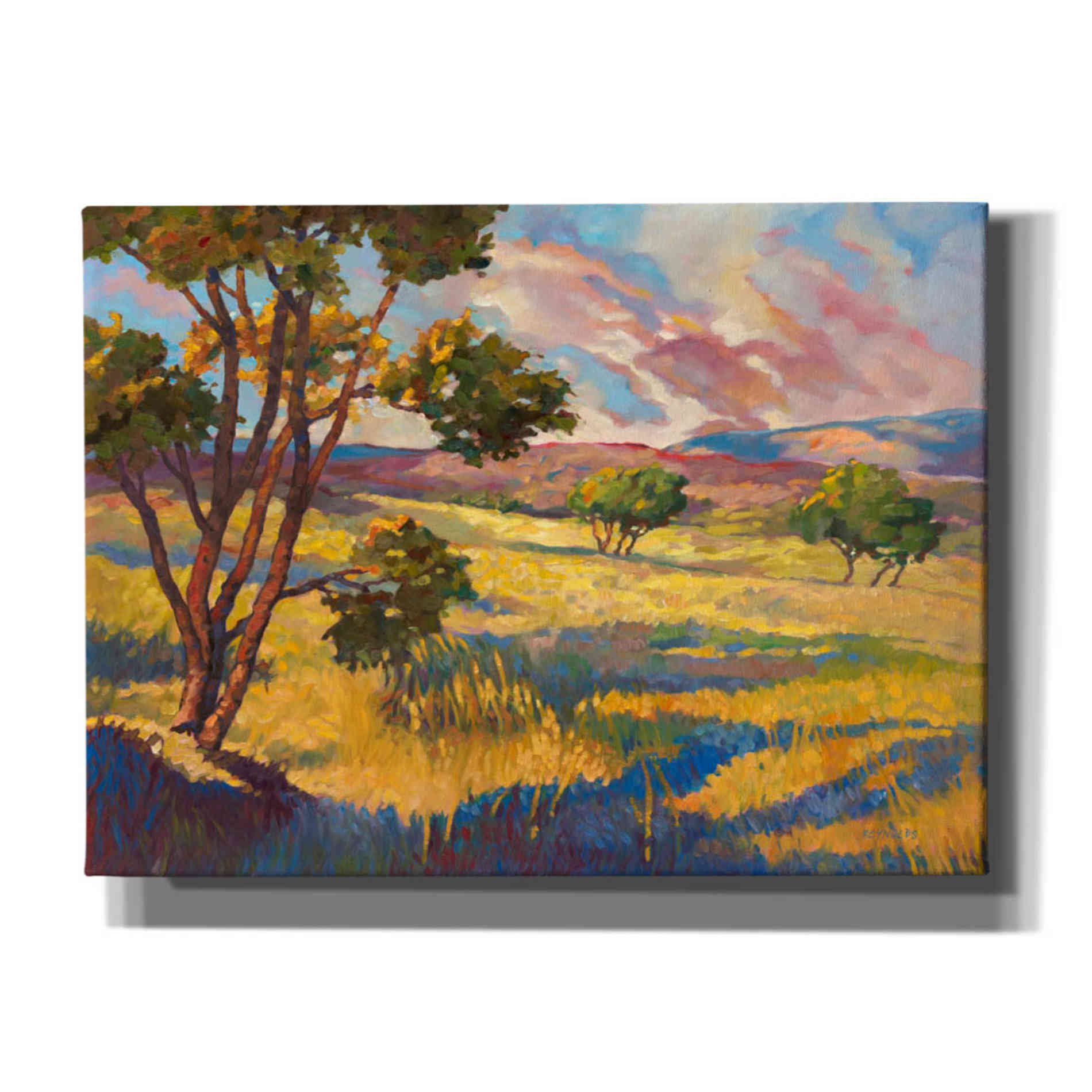 'Wide horizons 2' by Graham Reynolds, Canvas Wall Art