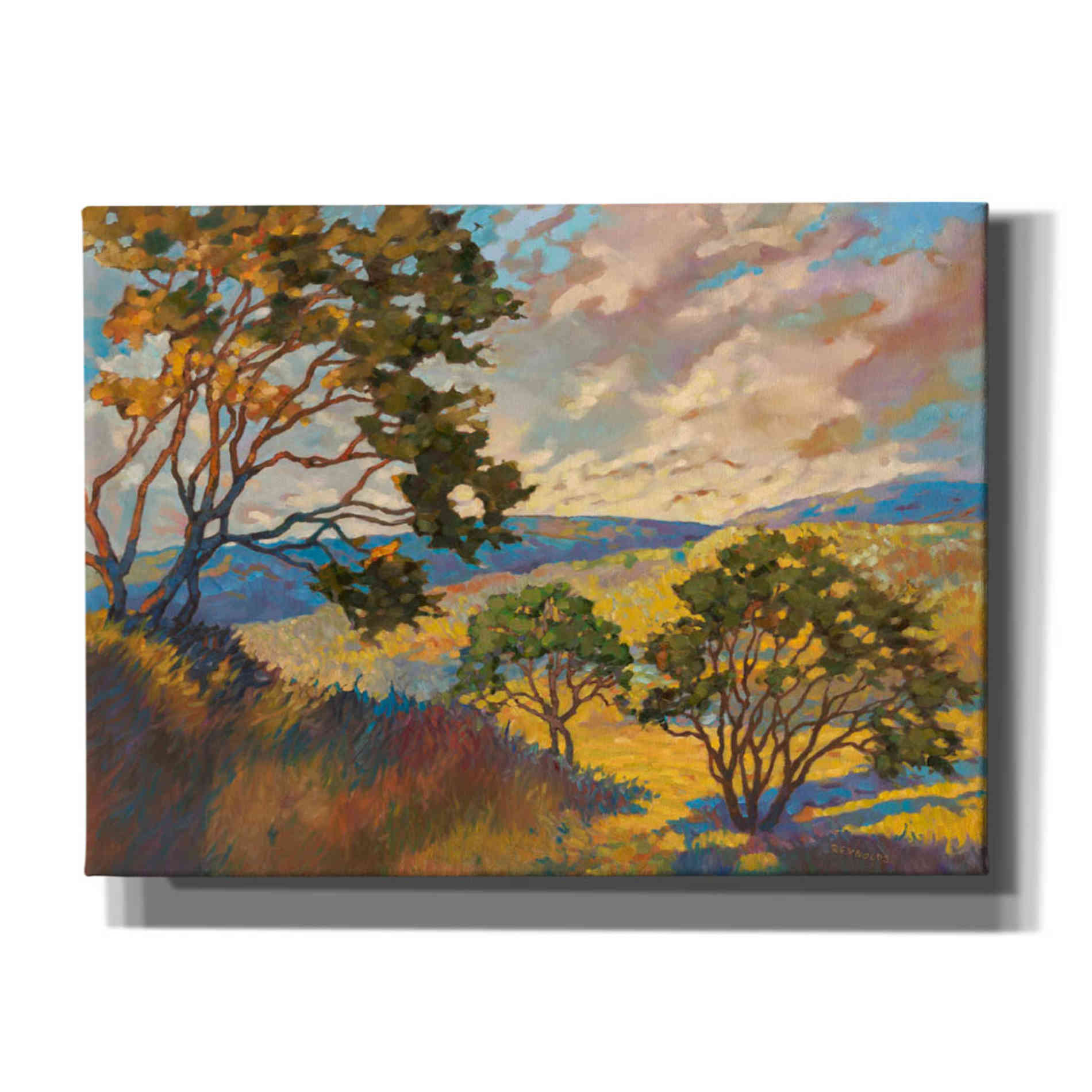 'Wide horizons 1' by Graham Reynolds, Canvas Wall Art