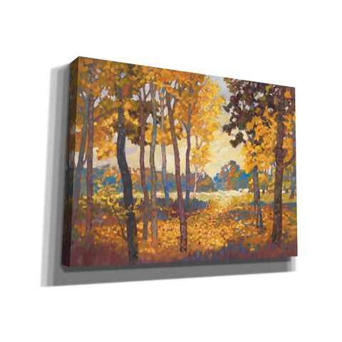 Image of 'Windstill 1' by Graham Reynolds, Canvas Wall Art