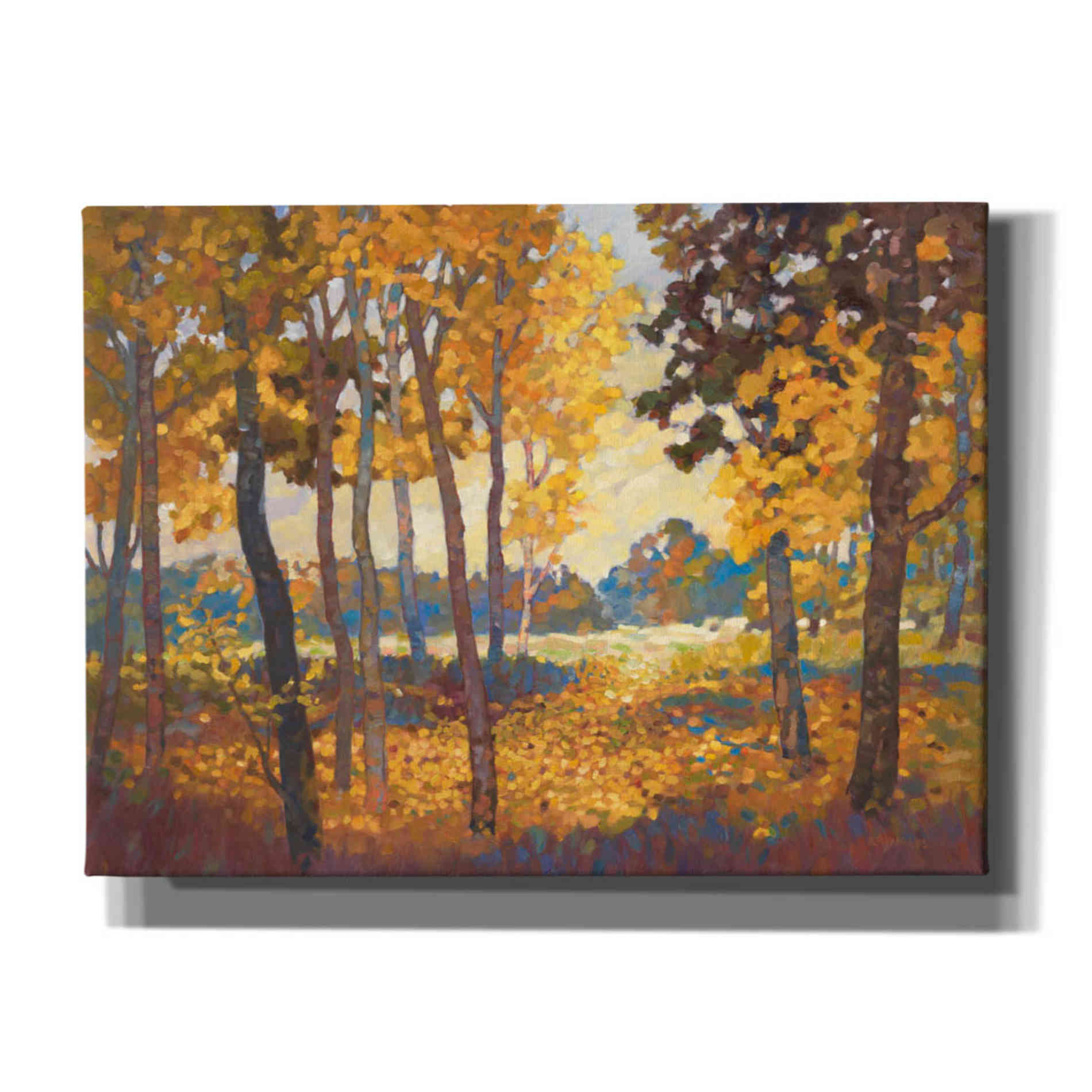 'Windstill 1' by Graham Reynolds, Canvas Wall Art