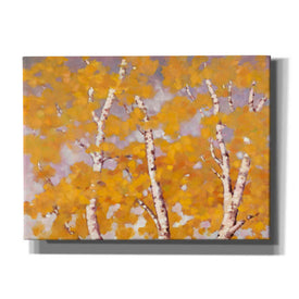 'Soft Breeze 1' by Graham Reynolds, Canvas Wall Art