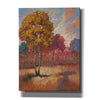 'Tree Line 2' by Graham Reynolds, Canvas Wall Art