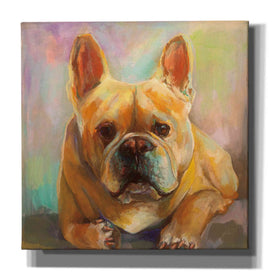 'Frenchie' by Jeanette Vertentes, Canvas Wall Art