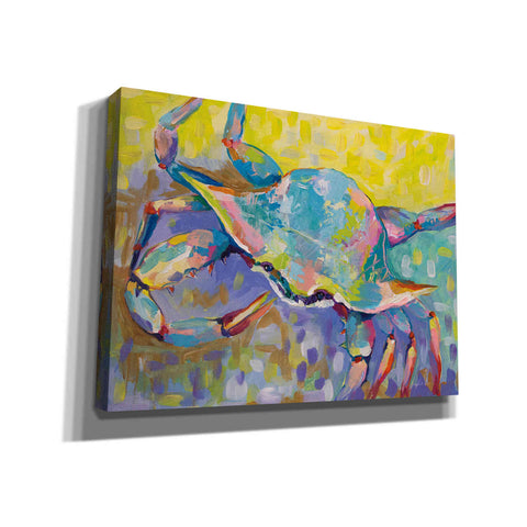 Image of 'Crabby Boy' by Jeanette Vertentes, Canvas Wall Art