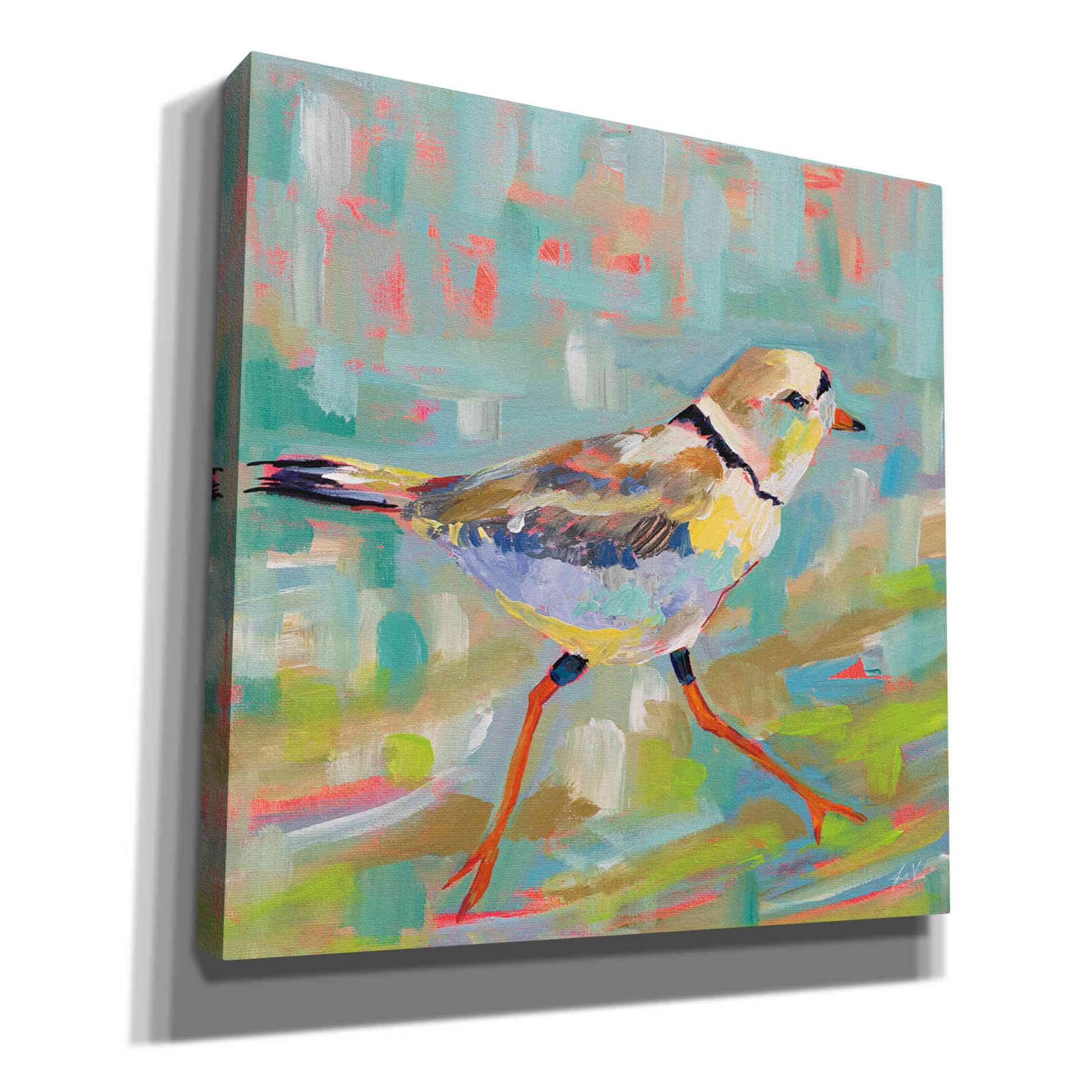 'Coastal Plover I' by Jeanette Vertentes, Canvas Wall Art