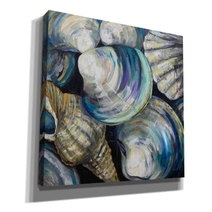 'Key West Shells' by Jeanette Vertentes, Canvas Wall Art