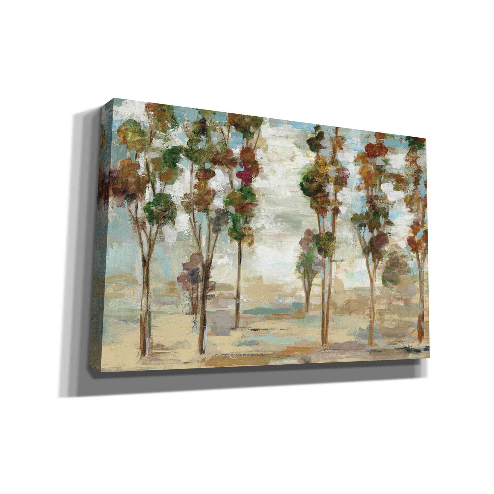 'Serene Forest' by Silvia Vassileva, Canvas Wall Art