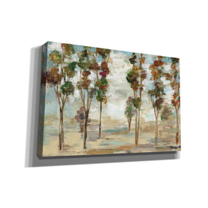 'Serene Forest' by Silvia Vassileva, Canvas Wall Art