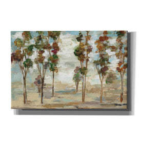 'Serene Forest' by Silvia Vassileva, Canvas Wall Art