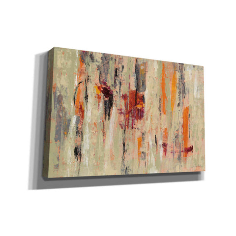 Image of 'Graffiti Wall I' by Silvia Vassileva, Canvas Wall Art