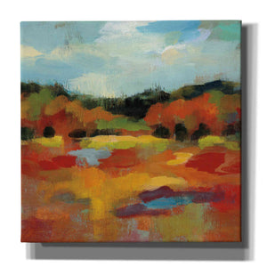 'October Moment I' by Silvia Vassileva, Canvas Wall Art