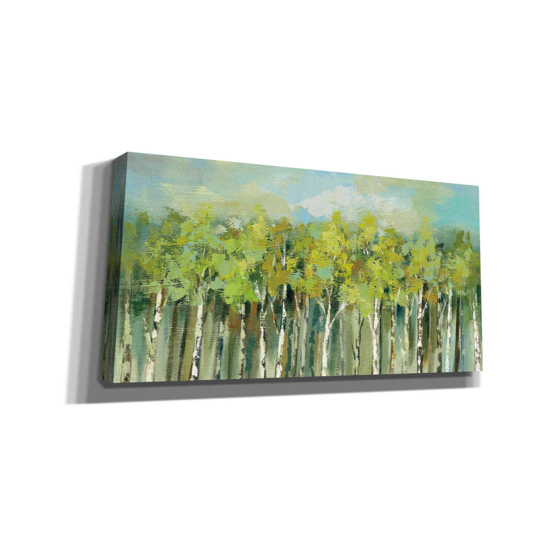 'April Tree Tops' by Silvia Vassileva, Canvas Wall Art