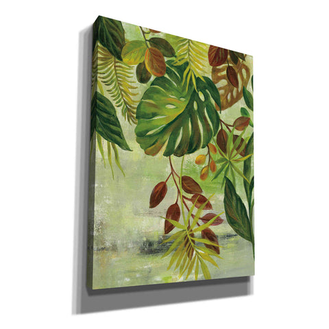 Image of 'Tropical Greenery II' by Silvia Vassileva, Canvas Wall Art