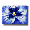 'Pansy Splash' by Louise Montillio, Canvas Wall Art