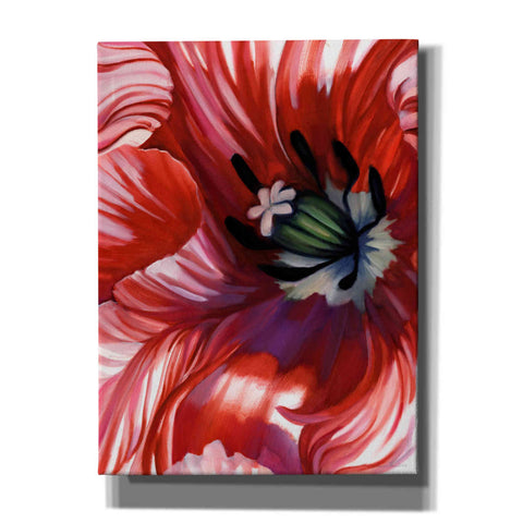 Image of 'Swashbuckler Poppy' by Louise Montillio, Canvas Wall Art