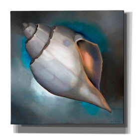 'Sea Shell Glow' by Louise Montillio, Canvas Wall Art